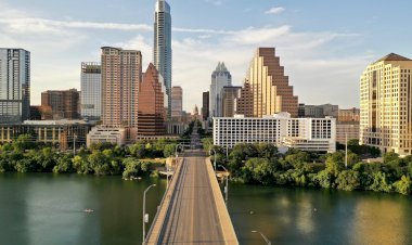 How to Do a Texas Business Owner Search: Step-by-Step Guide