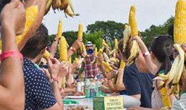 Sweet Corn Festival 2025: Dates, Locations & Cost Guide