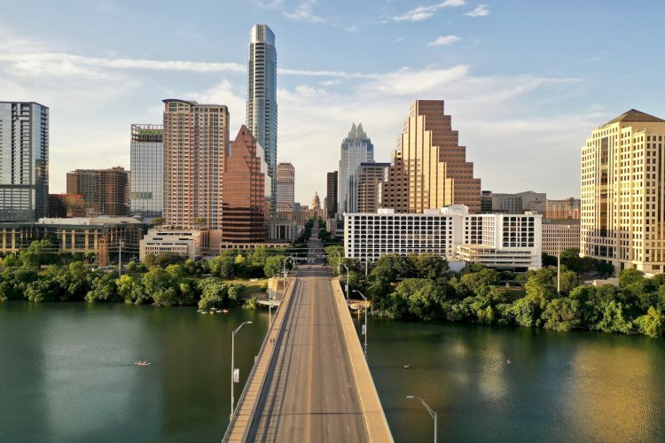 How to Do a Texas Business Owner Search: Step-by-Step Guide