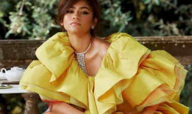 Zendaya Red Carpet Looks: A Complete Style Evolution from Disney to Met Gala Icon