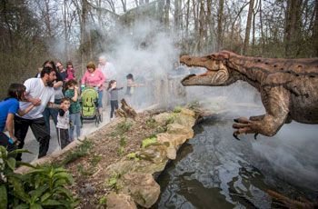 Fun Activities in Nashville for Families: Ultimate Travel Guide for Kids & Parents